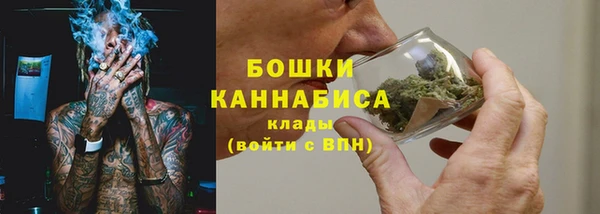 гидропоника Инсар