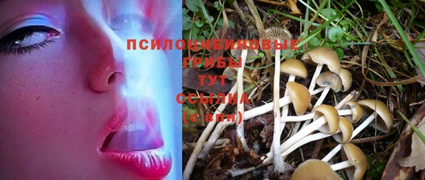 скорость Инта