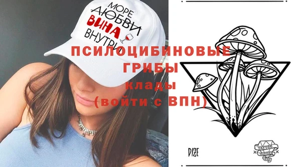 гидропоника Инсар