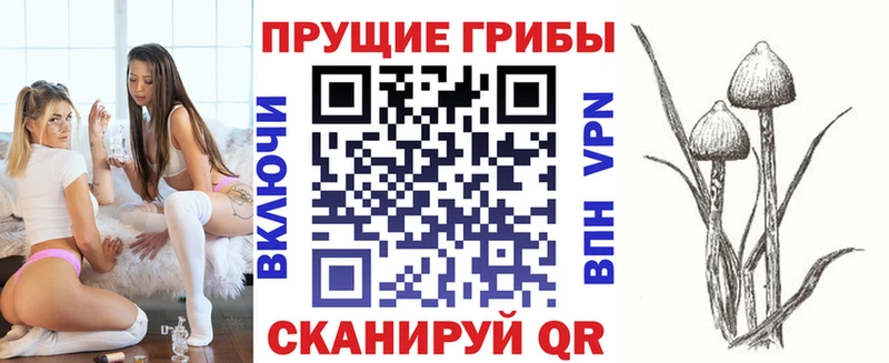 Галлюциногенные грибы Psilocybe  Купить  Духовщина 